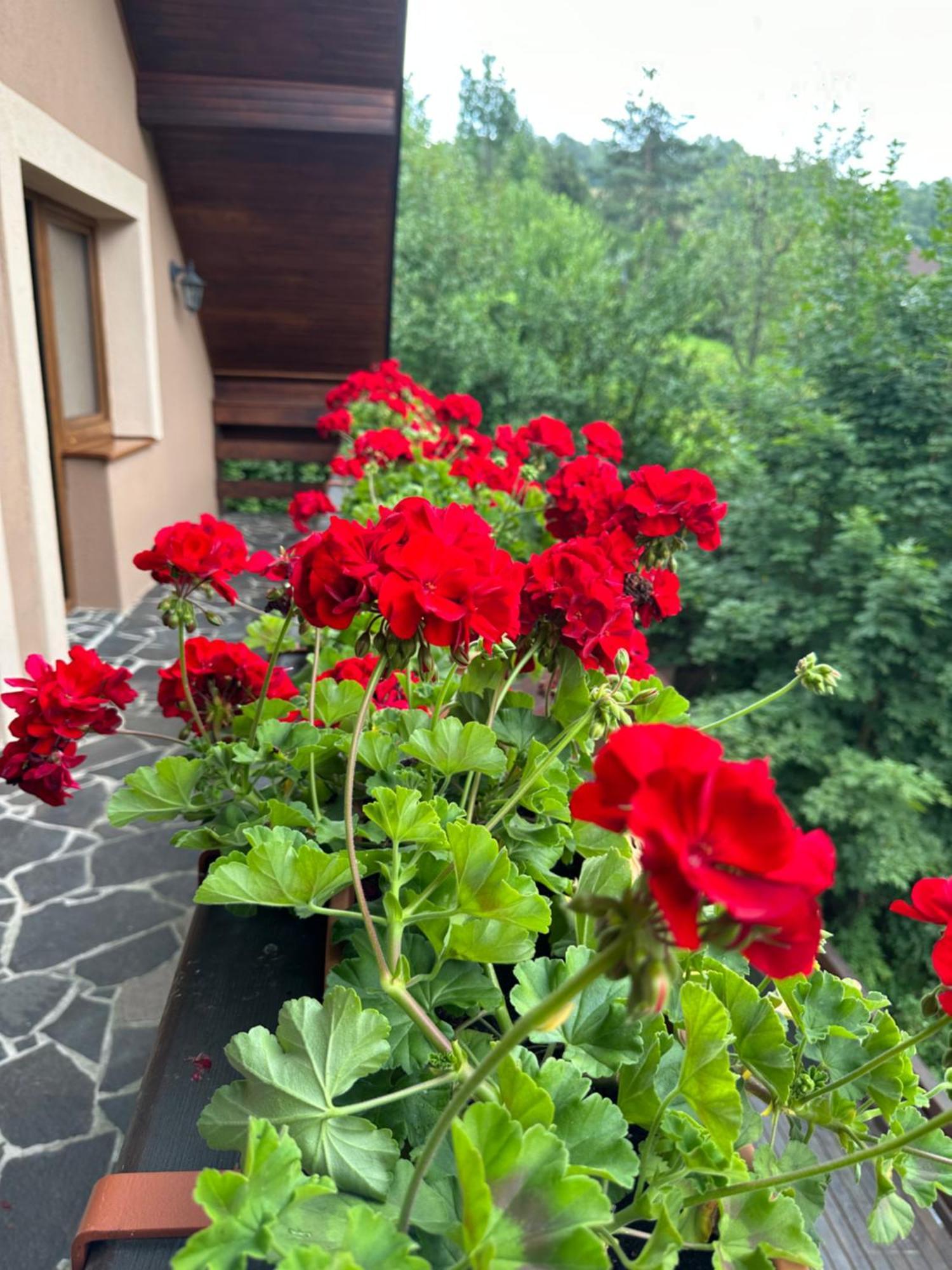 Holiday Home Skalka Mýto pod Ďumbierom Esterno foto